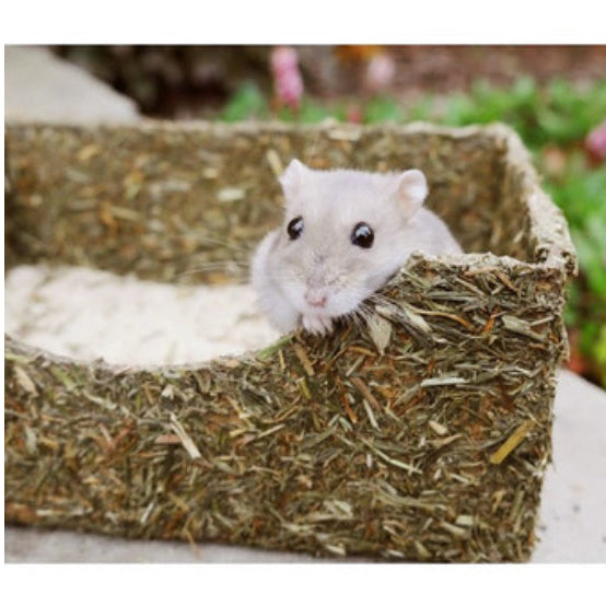 Rosewood Rollin Rodent
Sand Bath