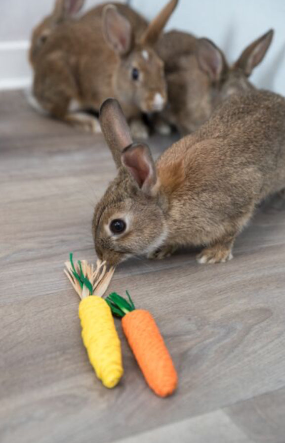 Set of straw toys carrot and corn
