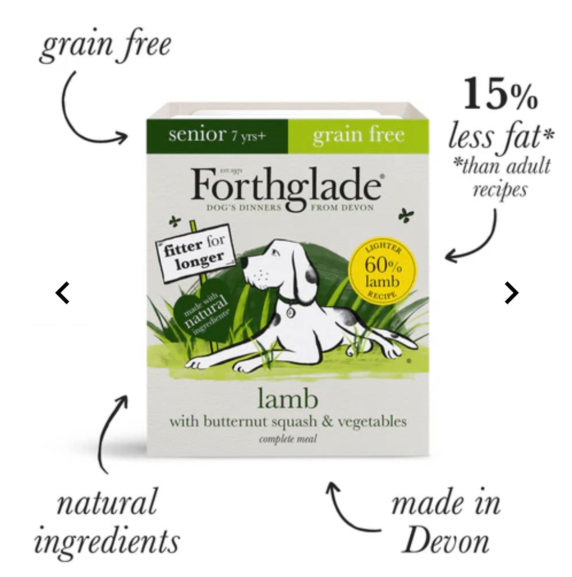 Forthglade Lamb senior with butternut squash and vegetables wet food 395g