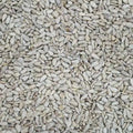 Sunflower Hearts 1.5kg