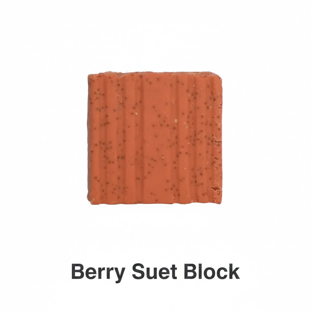 Berry suet cakes (single packet)