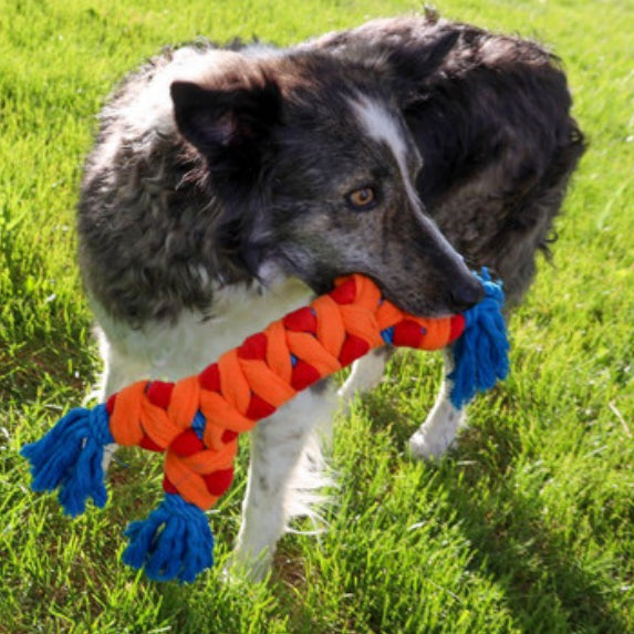 KONG Rope Rally Bone Medium