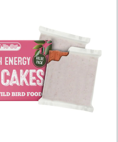 Berry suet cakes (single packet)