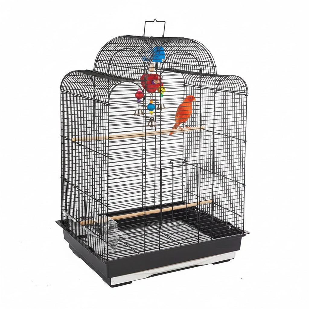 San Luis Black Bird Cage