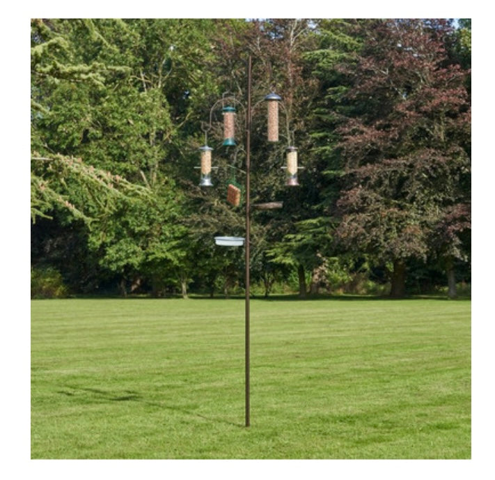 Deluxe Wild Bird Feeding Station