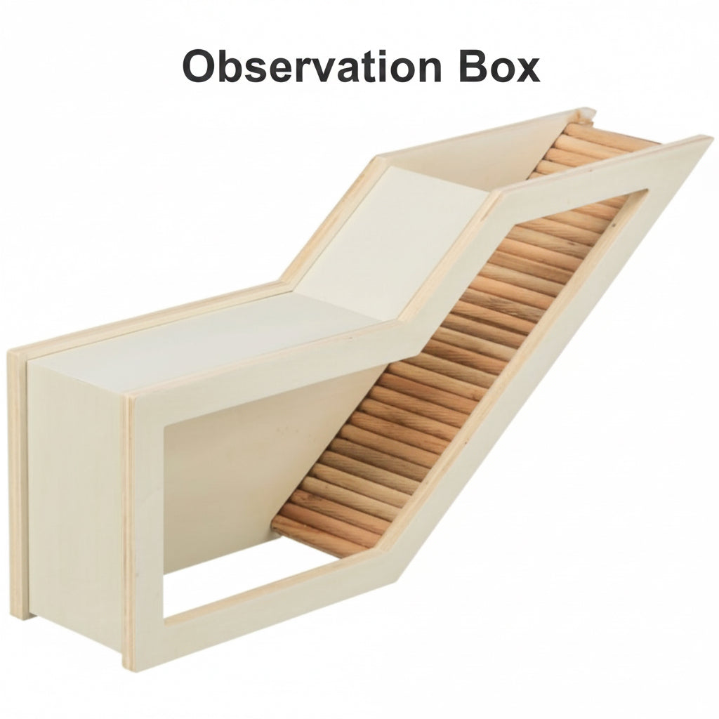 Observation Box
