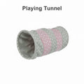Cat Playing Tunnel