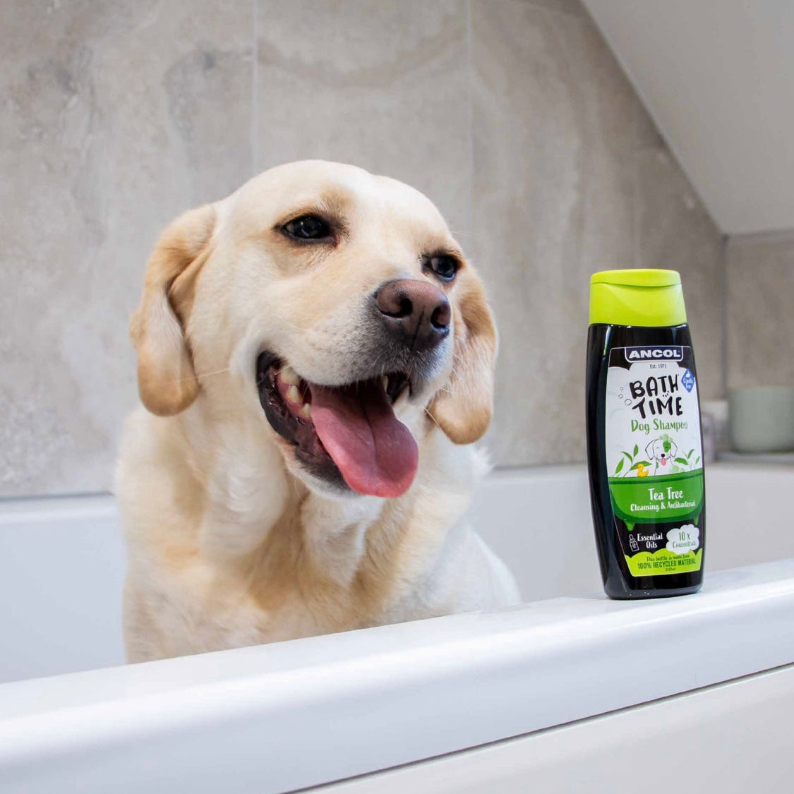 Ancol bath time teatree shampoo 200ml