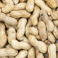 Peanuts in shells 500g