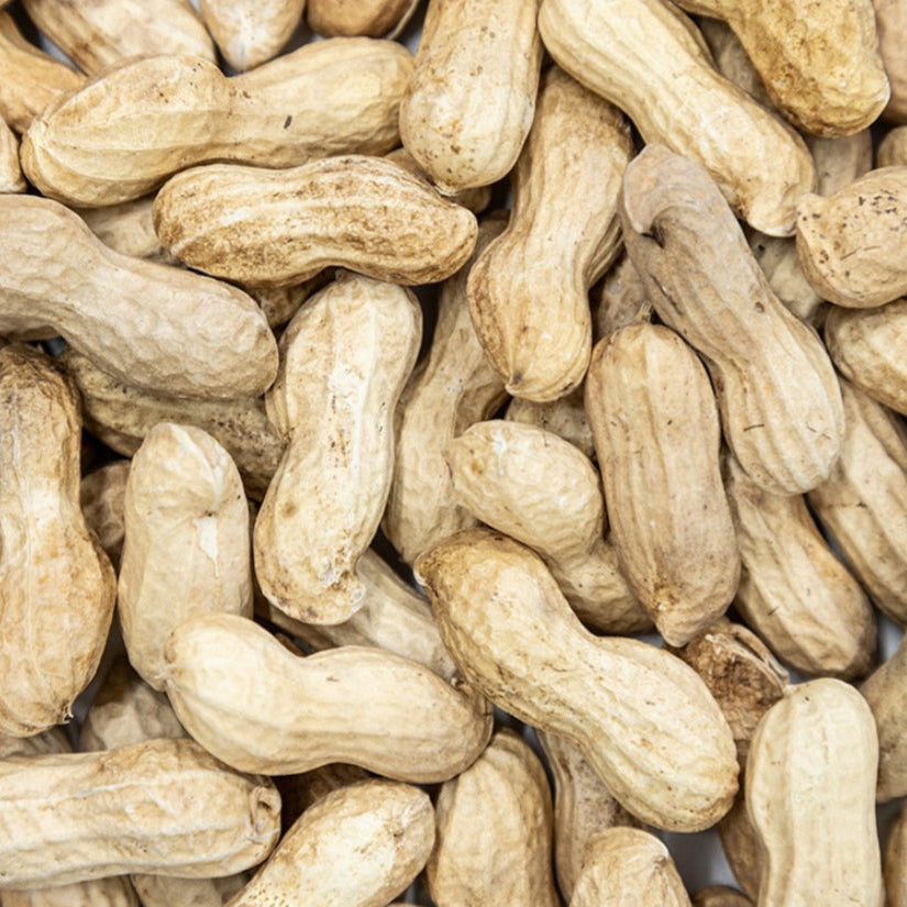 Peanuts in shells 500g