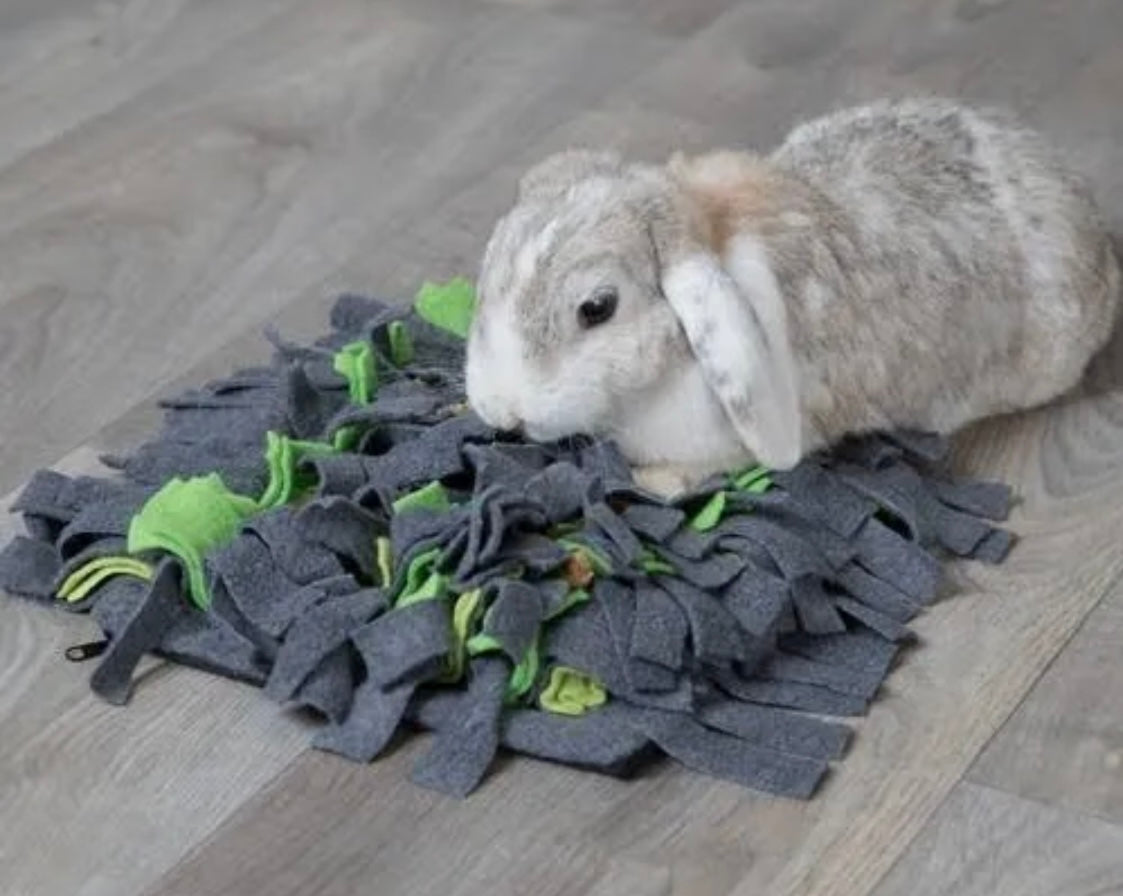 Trixie Snuffle Mat