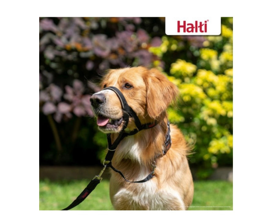 Halti Headcollar Black size 1