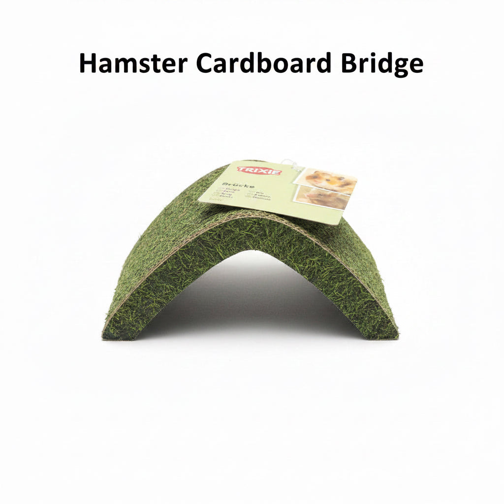 Hamster Cardboard Bridge