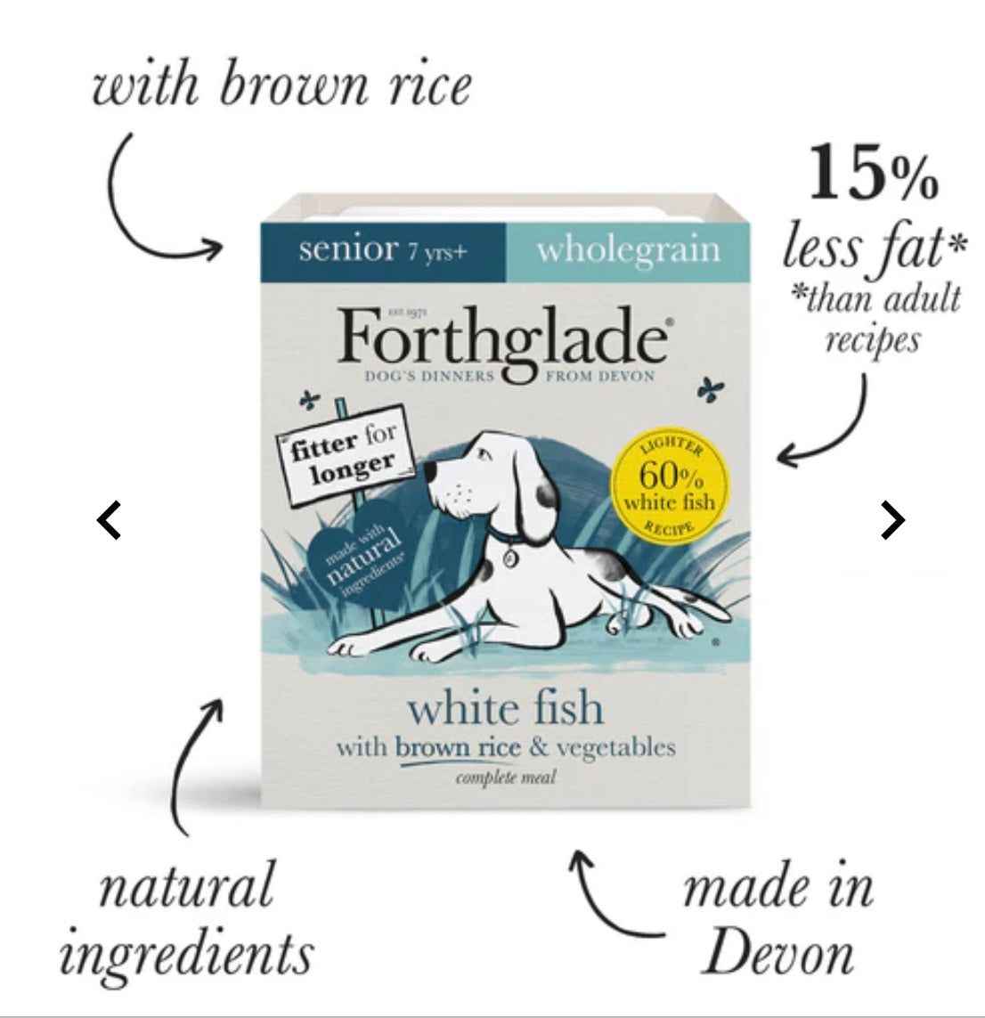 Forthglade senior white fish brown rice and vegetables wet food 395g