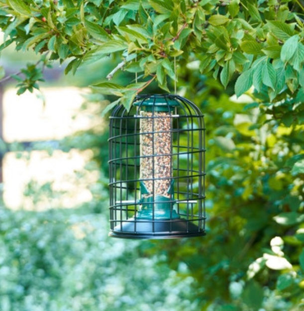 Harrison’s Protector Seed Feeder 20cm