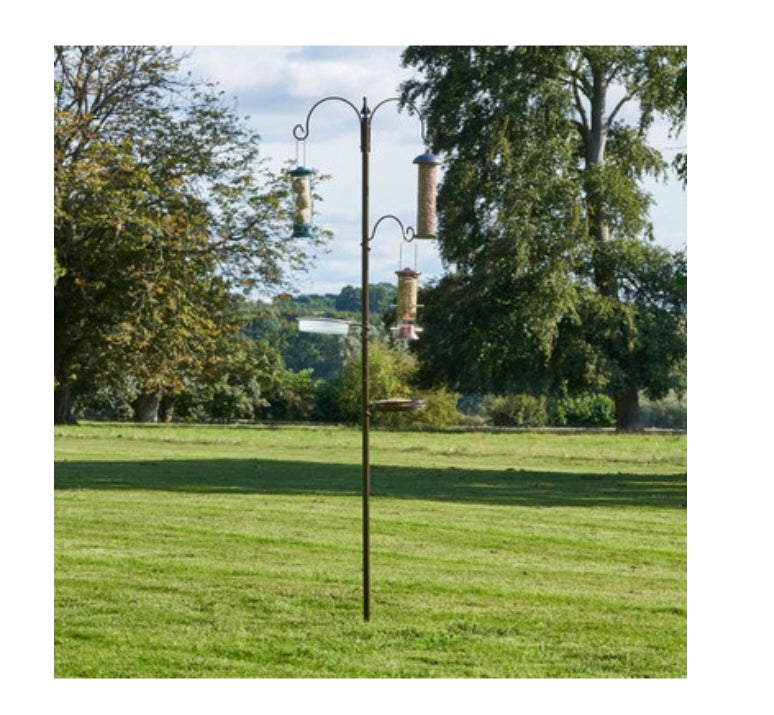 Wild Bird Feeding Station