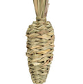 Grassy Carrot toy