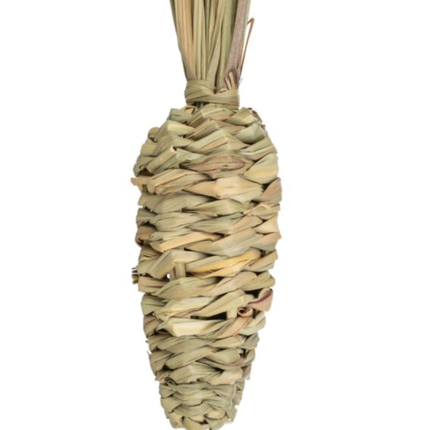 Grassy Carrot toy