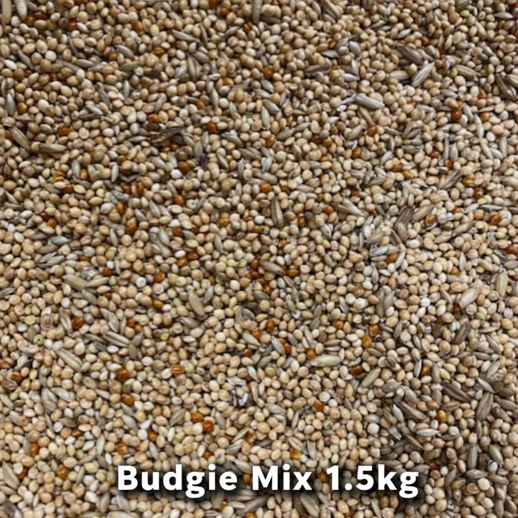 Budgie mix 1.5kg