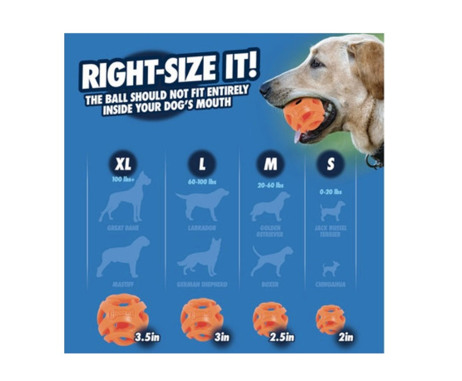 Chuckit air fetch medium 2pack