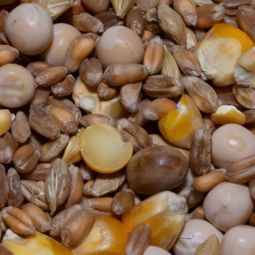 Pigeon mix 3kg