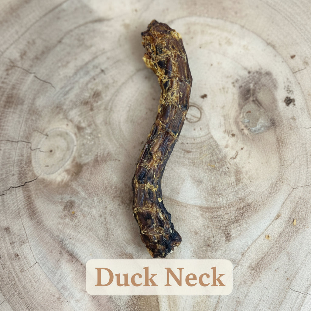 Ducks neck