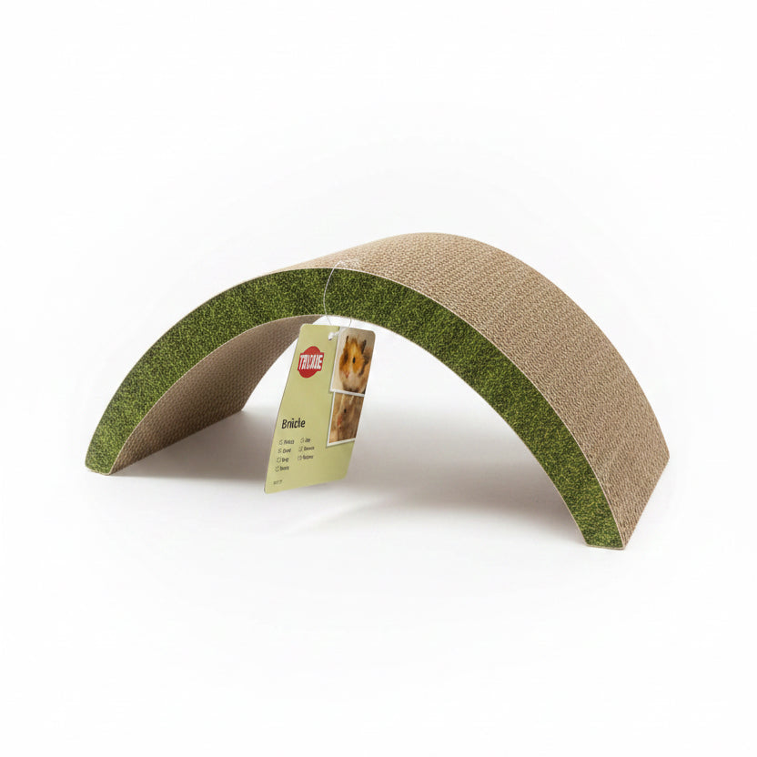 Cardboard Bridge