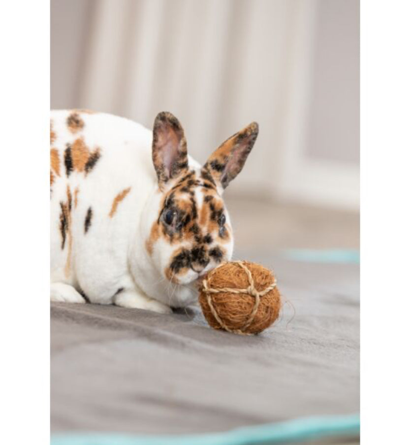Coconut ball