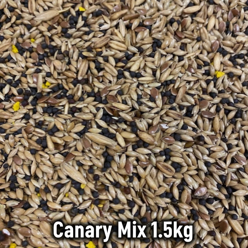 Canary seed 1.5kg