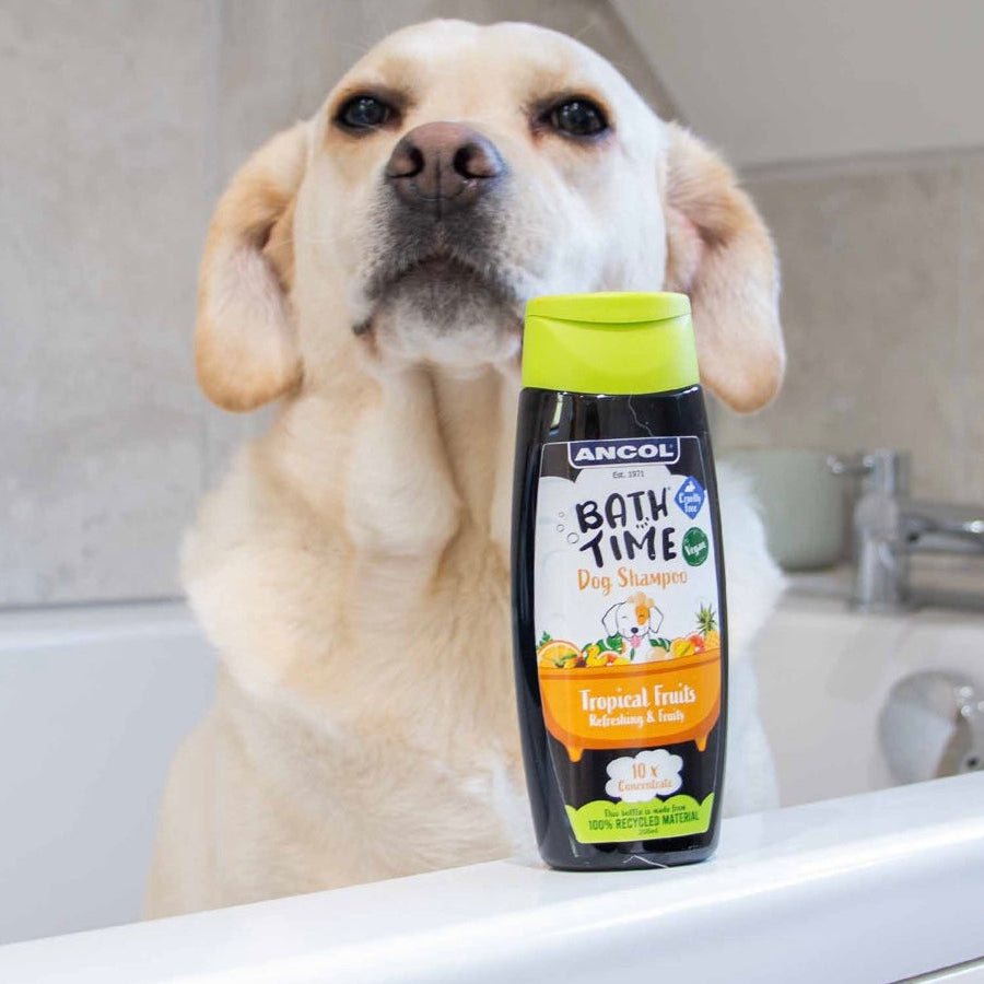 Ancol bath time dog shampoo tropical fruits 200ml