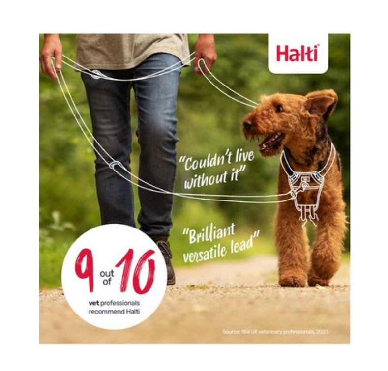 Halti Black Training Lead Small