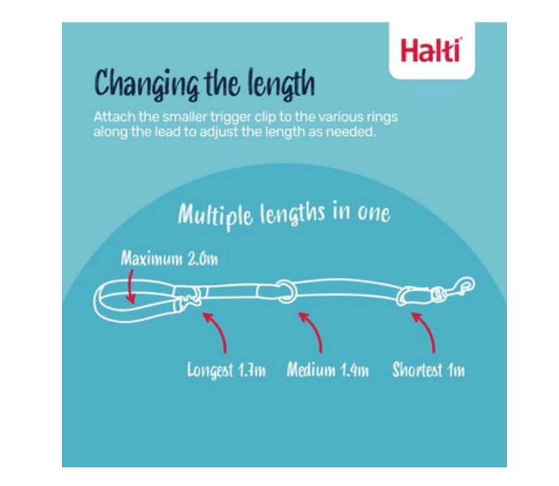 Halti Black Training Lead Large