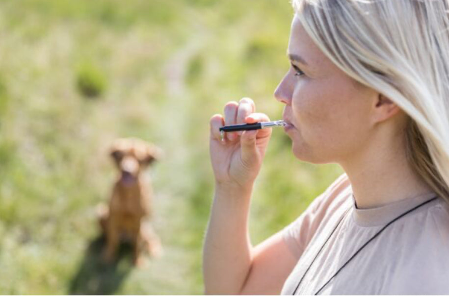 High Frequency Training Whistle