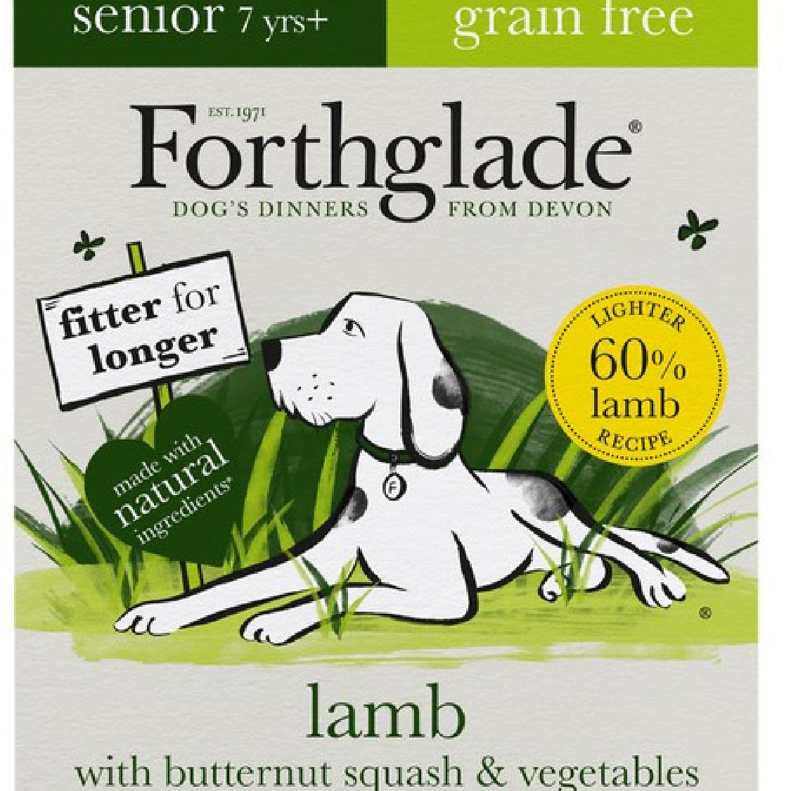 Forthglade senior with butternut squash and vegetables wet food 395g