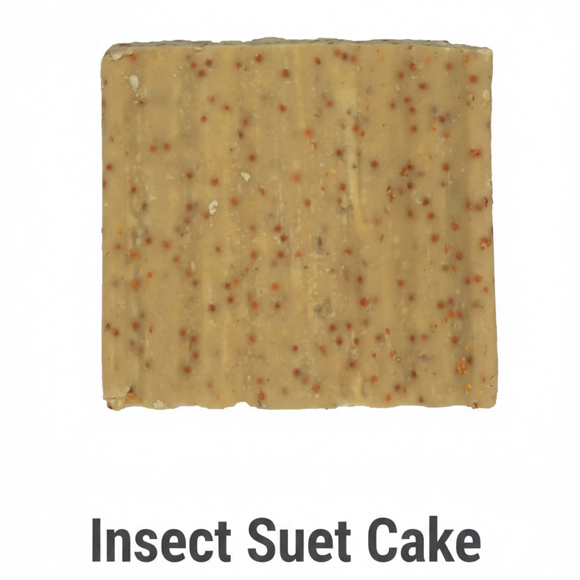 Insect suet cakes (single packet)