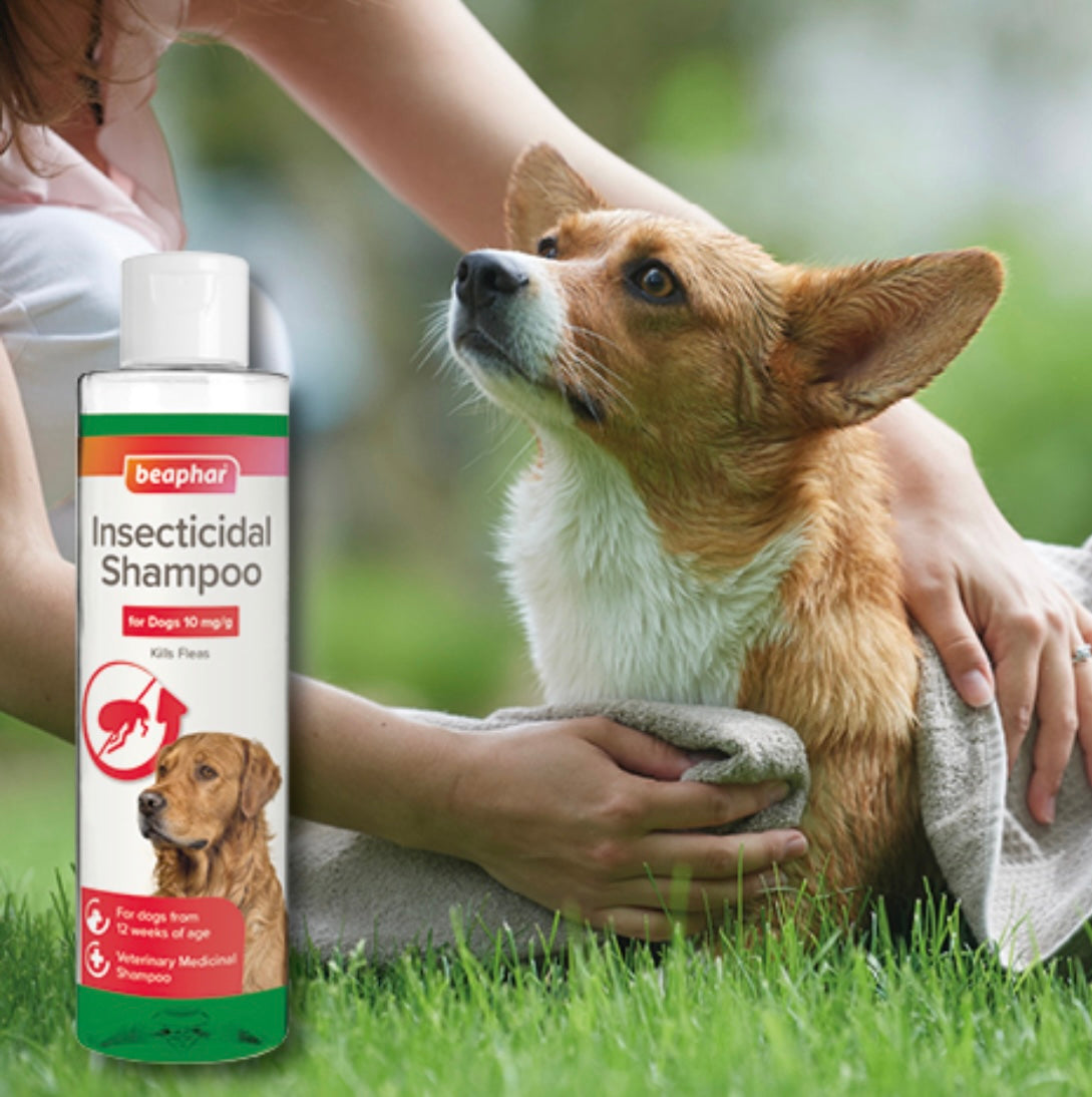 Beaphar insecticidal shampoo for dogs over 12weeks 250ml