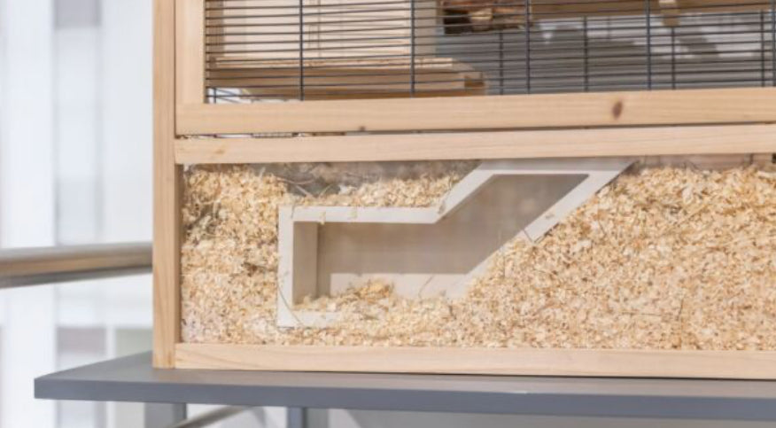Observation Box