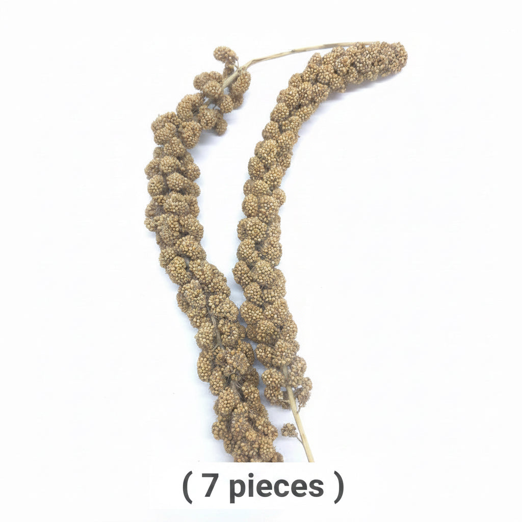Millet