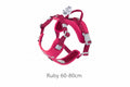 Hurtta Weekend
Warrior Harness II ECO Ruby 40-45cm