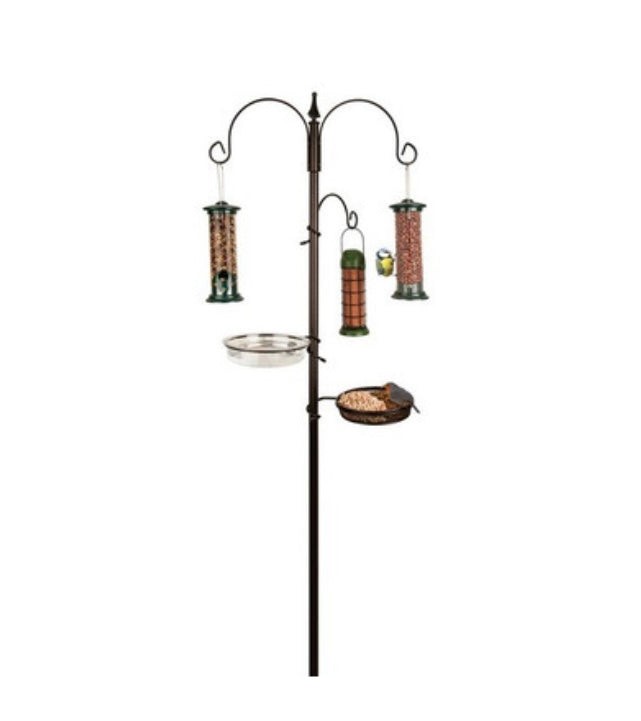 Wild Bird Feeding Station