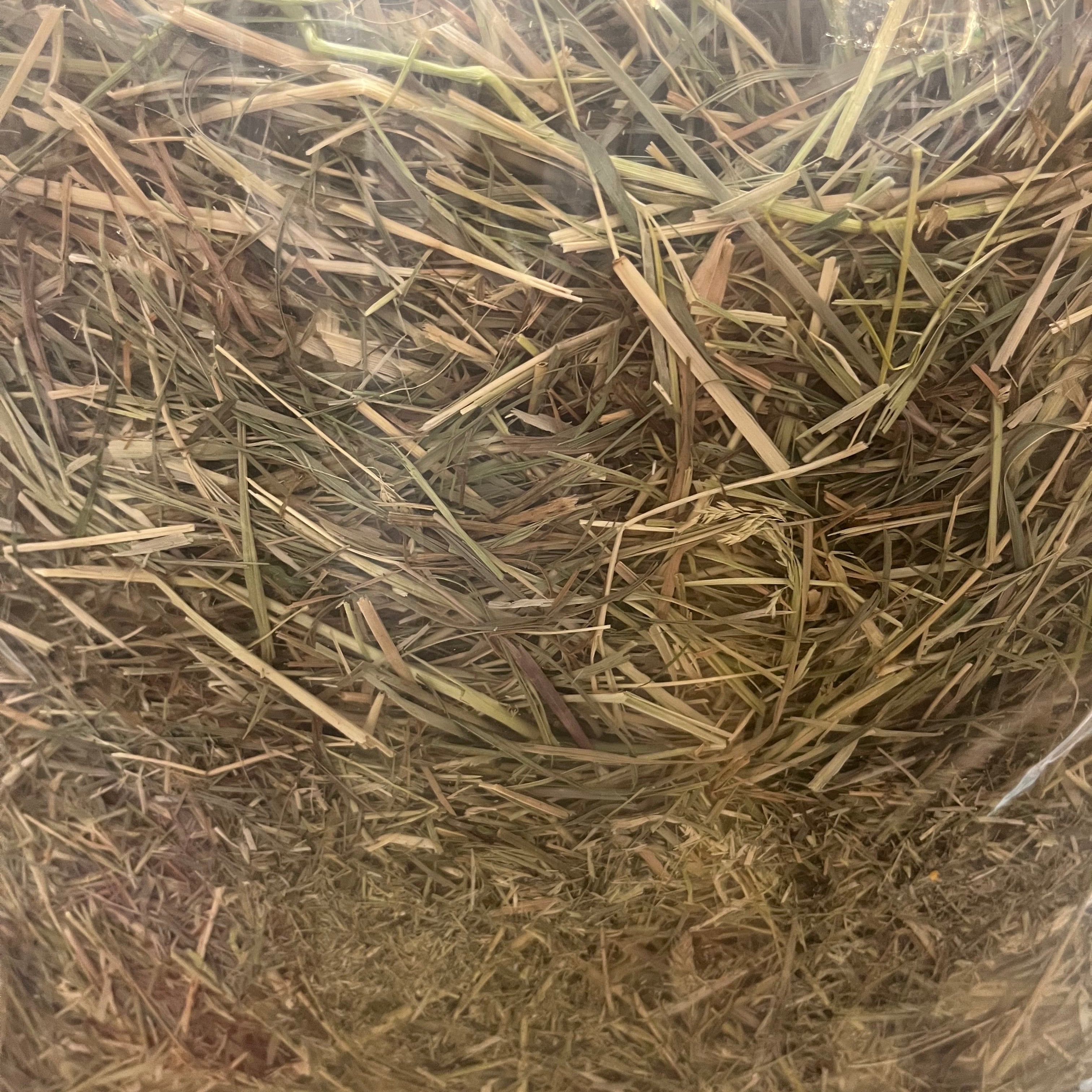 Meadow hay with mixed in Timothy (large bag)
