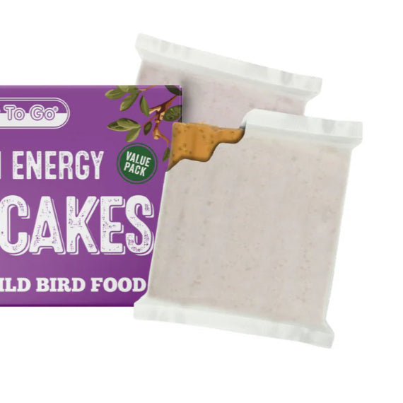 Insect suet cakes (single packet)