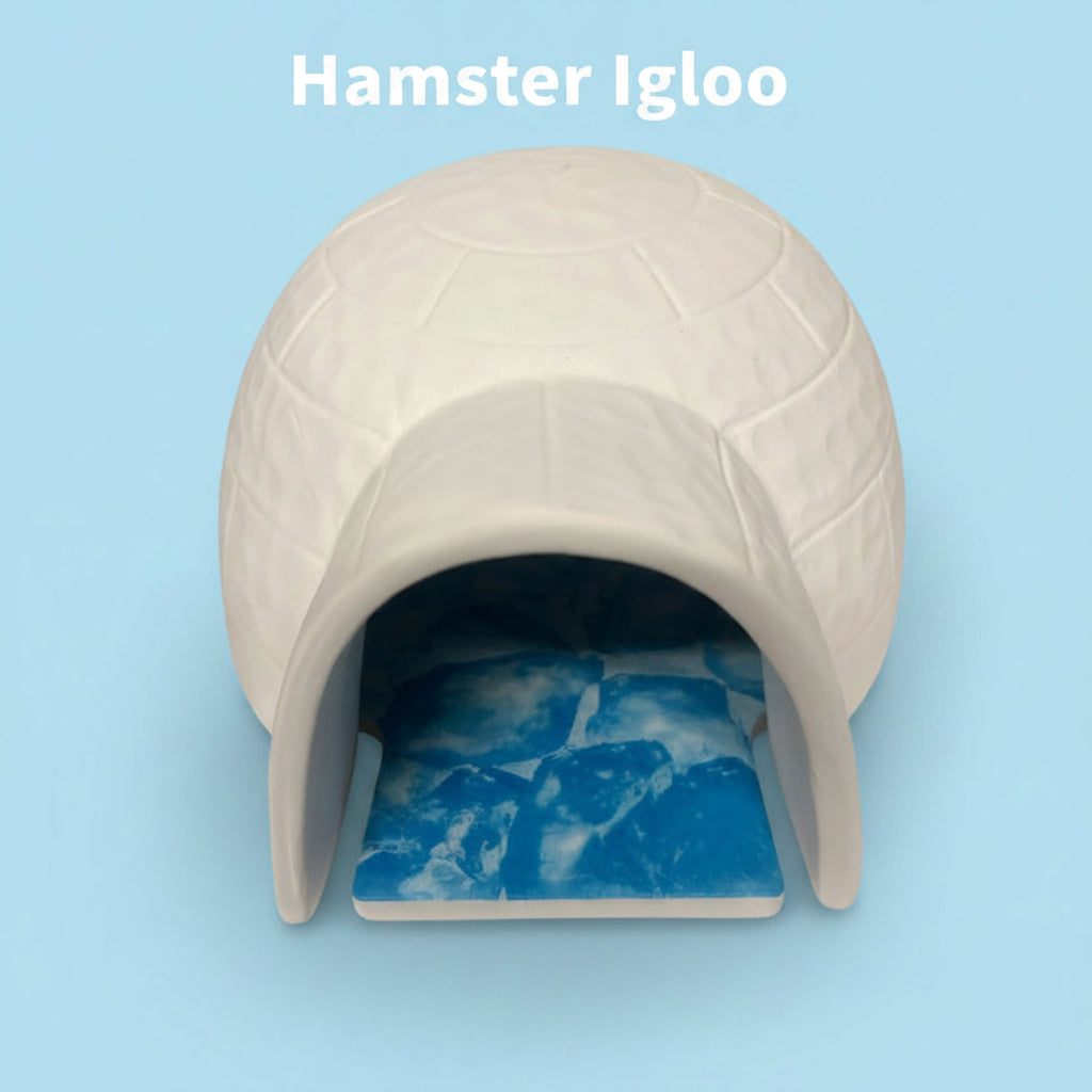 Hamster Igloo With Cooling Plate
