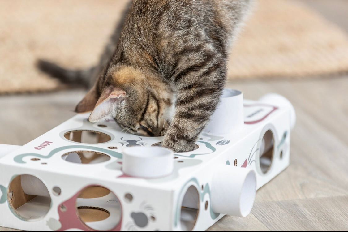 Fumble Cat Box