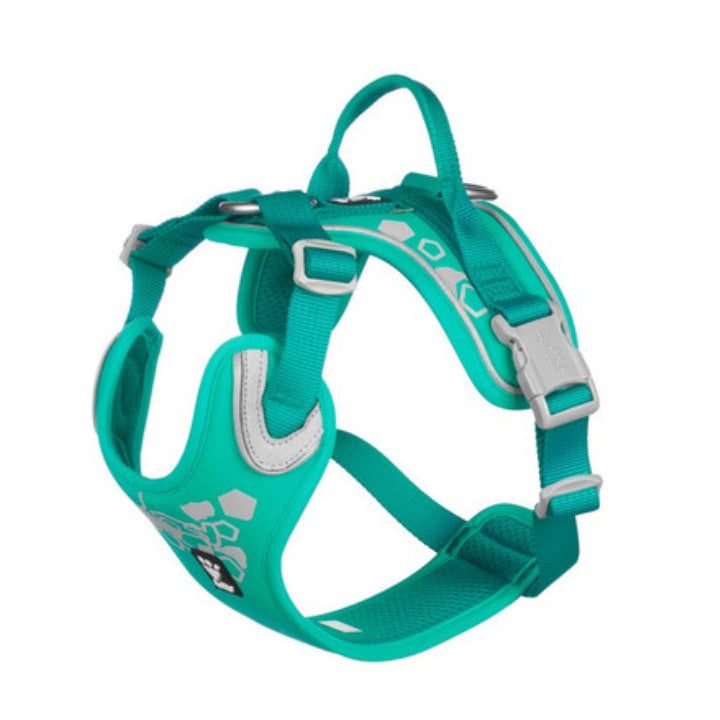 Hurtta Weekend
Warrior Harness
Peacock 40-45cm