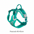 Hurtta Weekend
Warrior Harness
Peacock 40-45cm