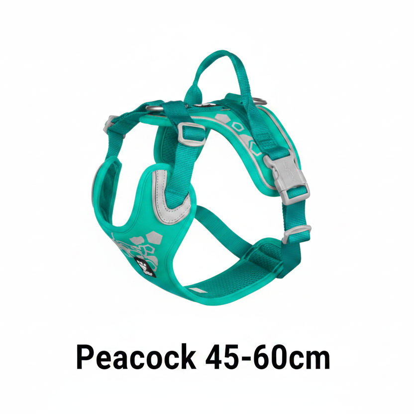 Hurtta Weekend
Warrior Harness
Peacock 45-60cm