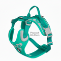Hurtta Weekend
Warrior Harness
Peacock 60-80cm