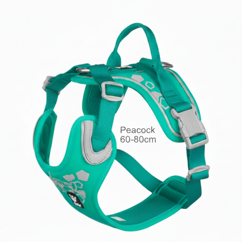 Hurtta Weekend
Warrior Harness
Peacock 60-80cm