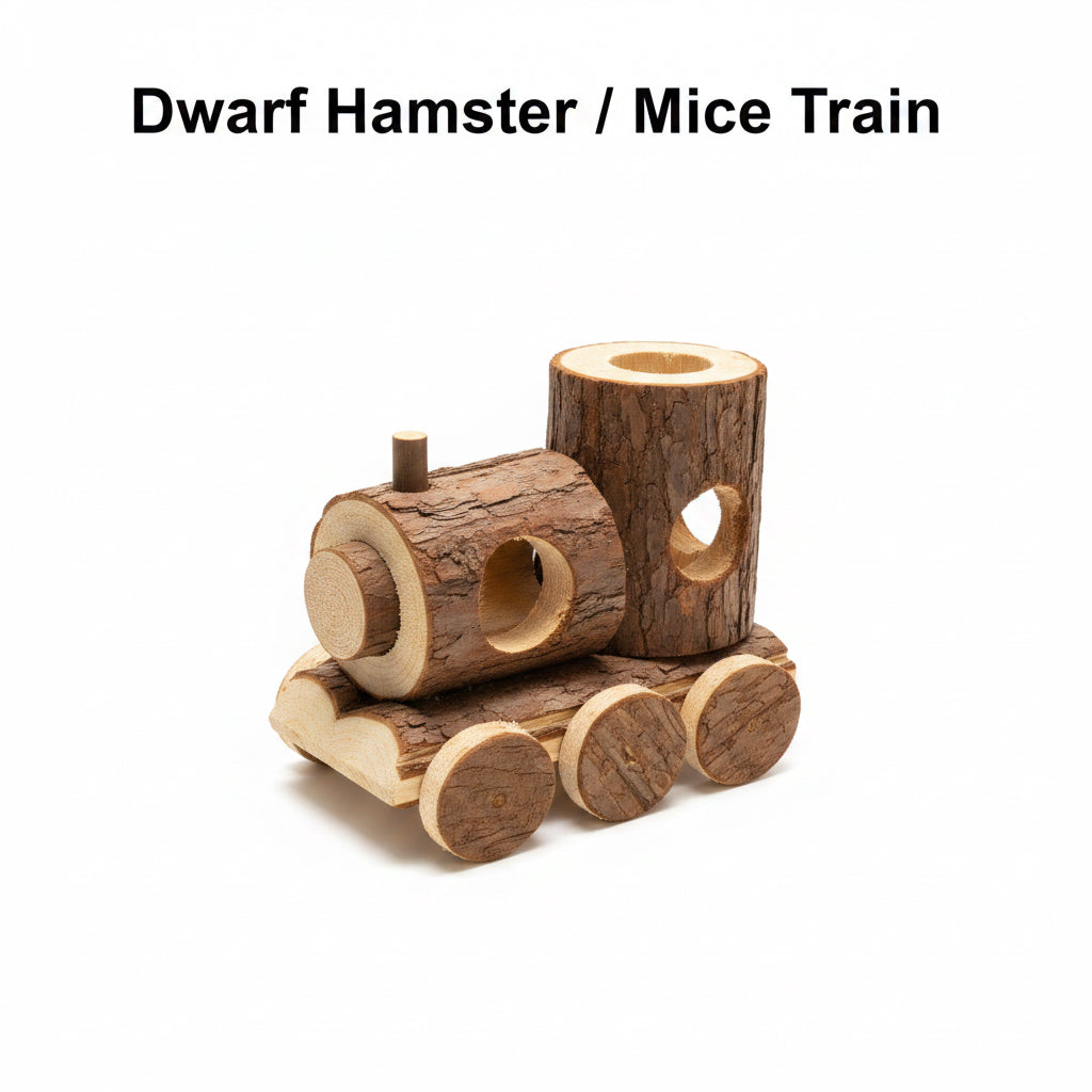 Dwarf Hamster/mice Train